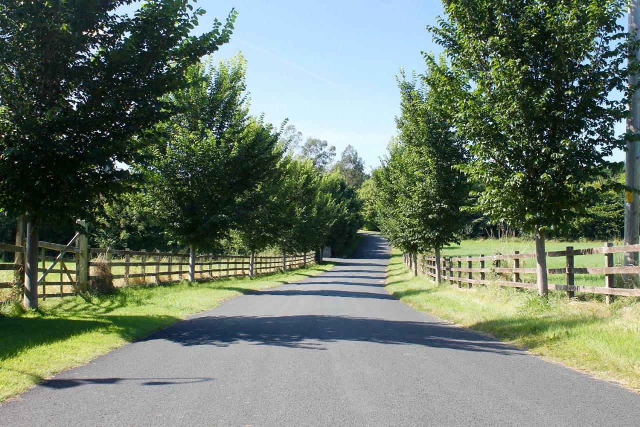 The Nook County Dublin ξενώνας Εξωτερικό φωτογραφία